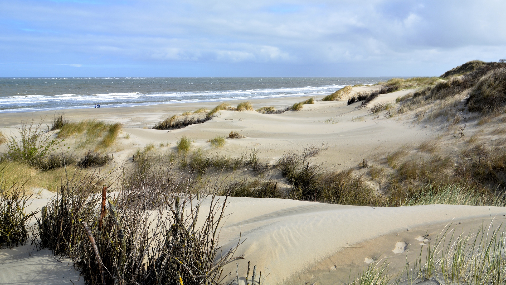 dünen und nordsee