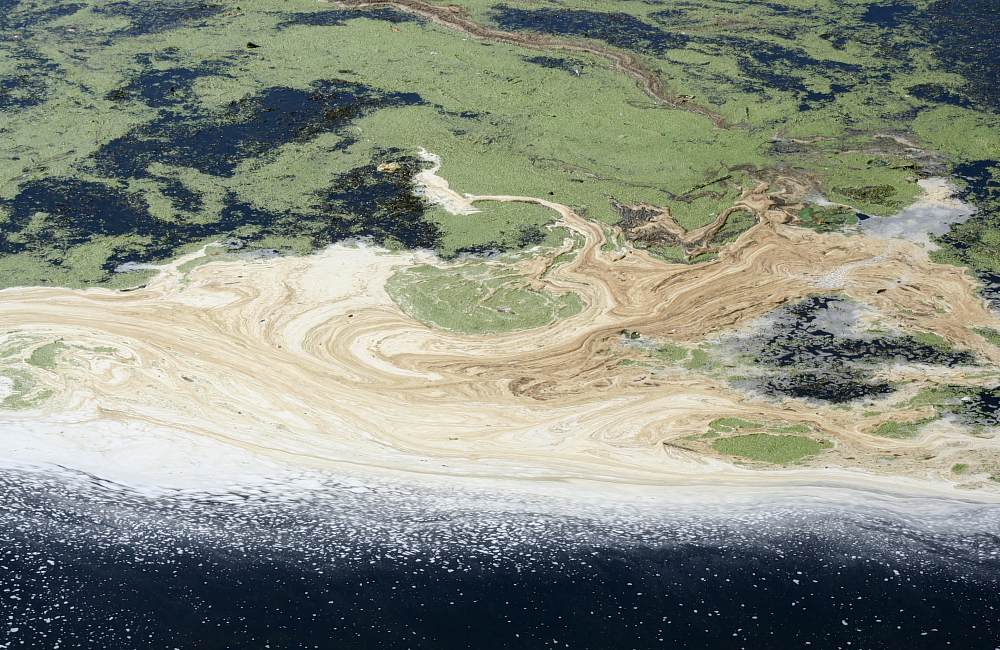 Dünen und Salzwiesen vor St.-Peter-Ording...