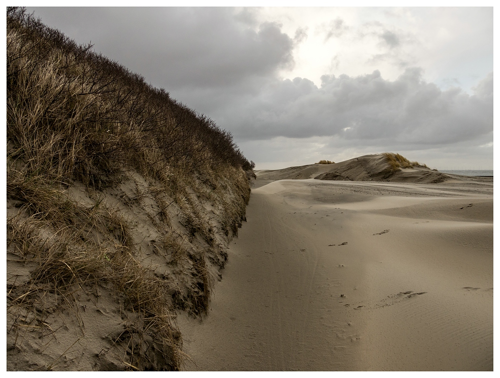 Dünen und Sand