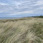 Dünen und Strand auf dem Darß