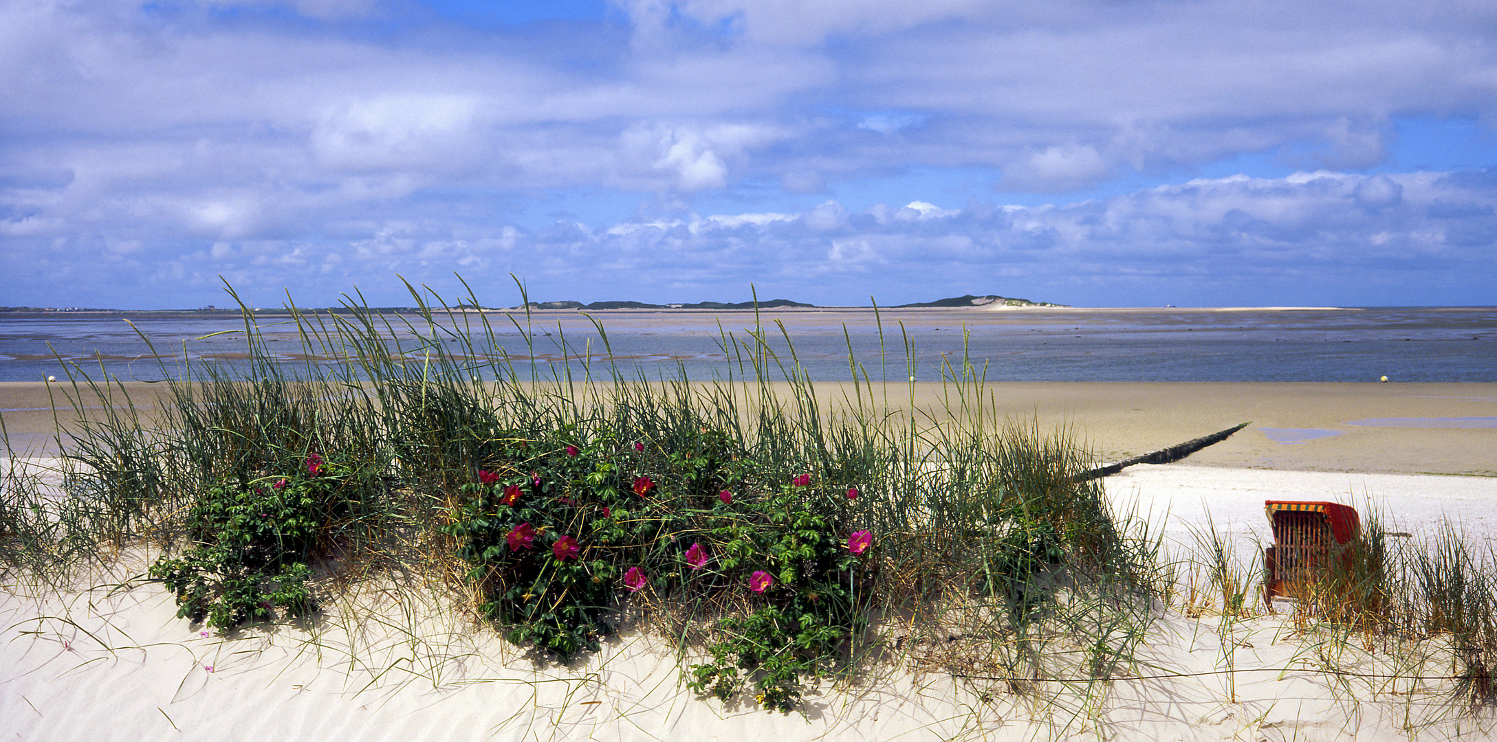 Dünen und Strand auf der Insel Föhr