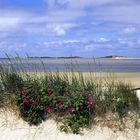 Dünen und Strand auf der Insel Föhr