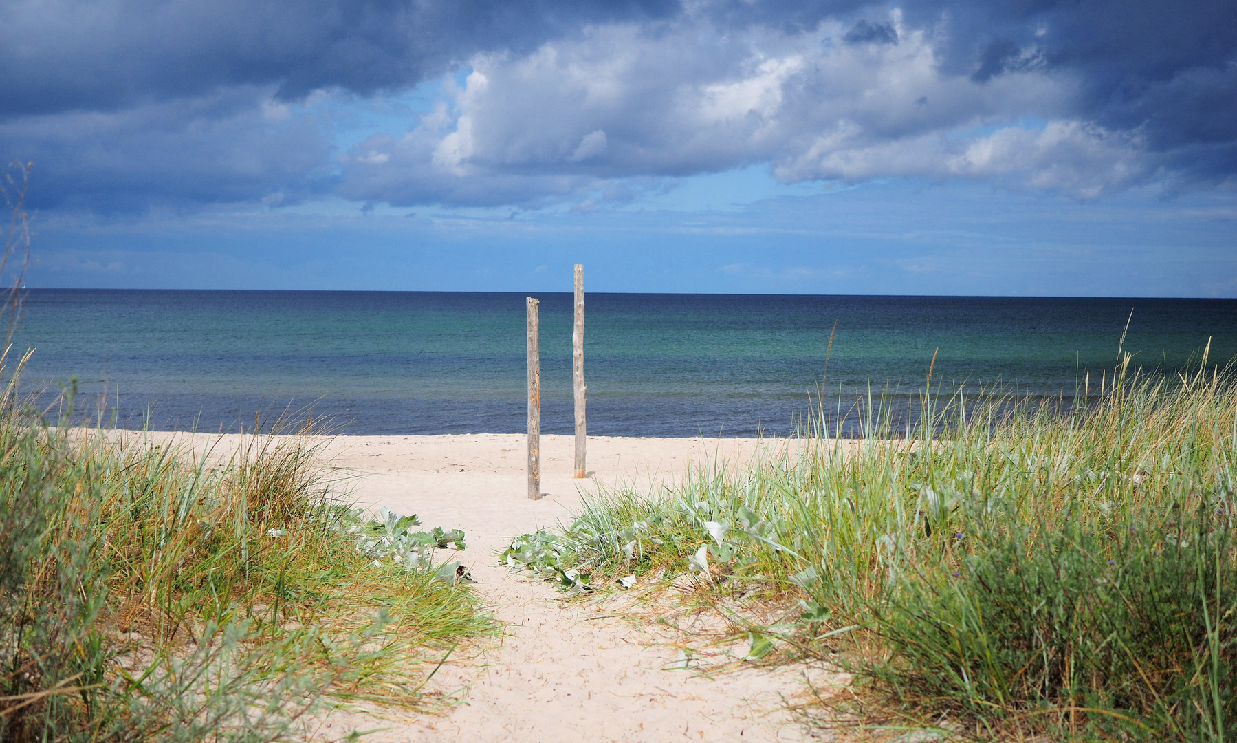 Dünen-und Strand Landschaft der Schaabe / Rügen 2020