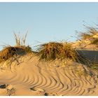 Dünen unter blauem Himmel