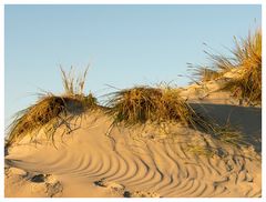 Dünen unter blauem Himmel