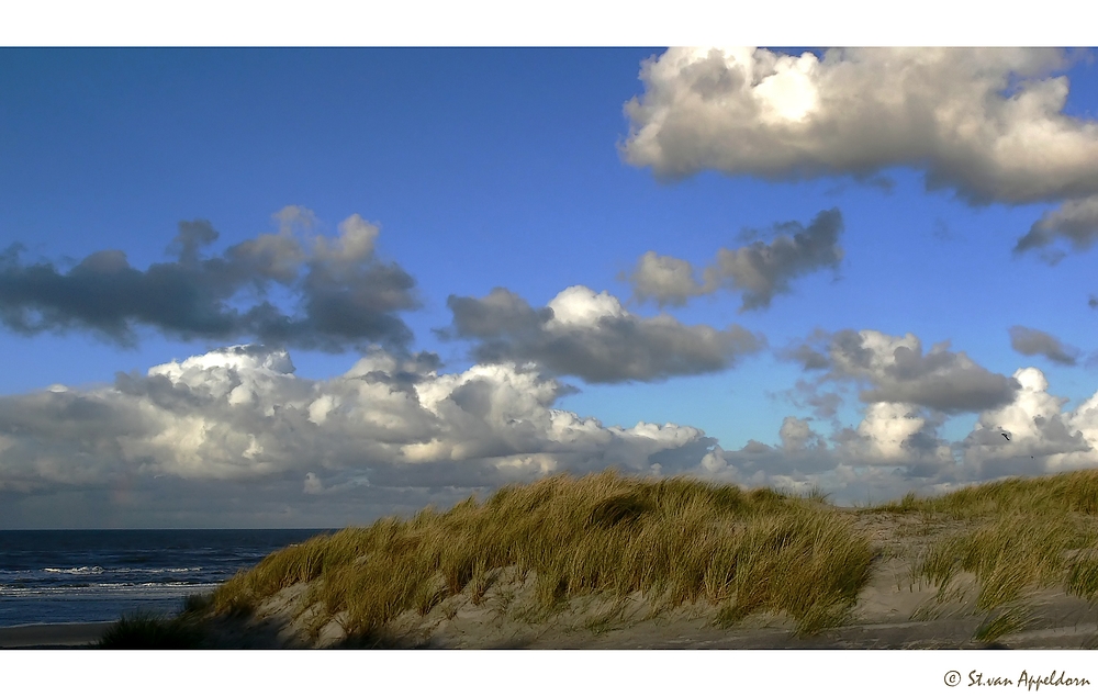 Dünen von Ameland...