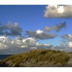 Dünen von Ameland...