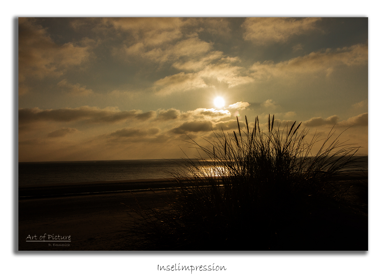 Dünen von Ameland