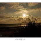 Dünen von Ameland