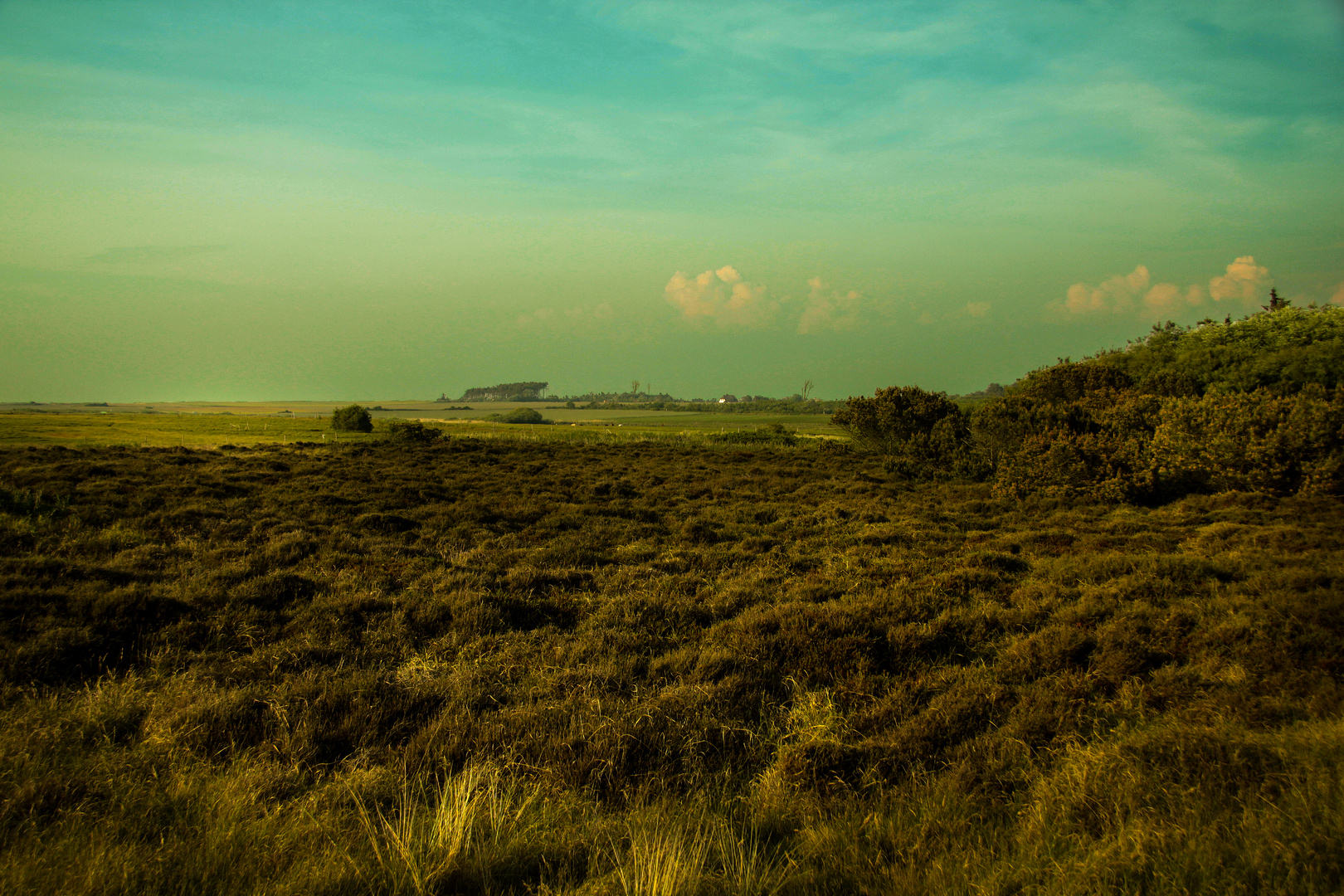 dünen von amrum