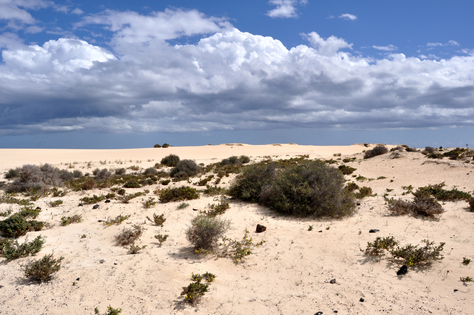 Dünen von Coralecho