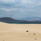 Dünen von Corralejo mit Blick auf Lanzarote