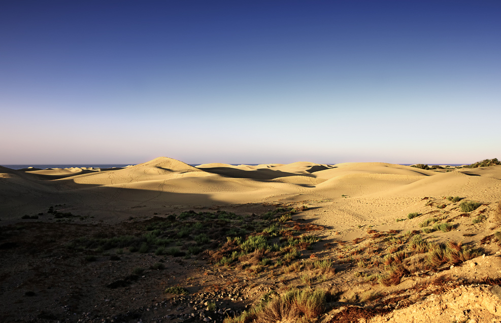 Dünen von Maspalomas