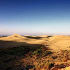 Dünen von Maspalomas