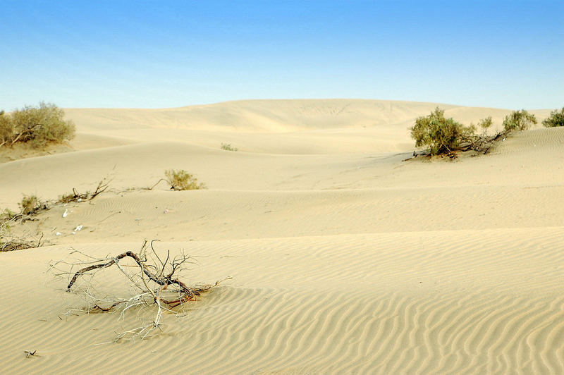 Dünen von Maspalomas