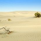 Dünen von Maspalomas