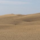 Dünen von Maspalomas (1)