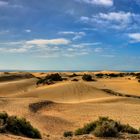 Dünen von Maspalomas 1