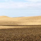 Dünen von Maspalomas (2)