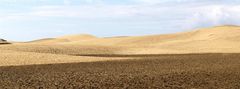 Dünen von Maspalomas (2)