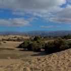 Dünen von Maspalomas 2