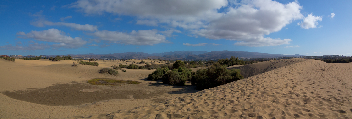 Dünen von Maspalomas 2