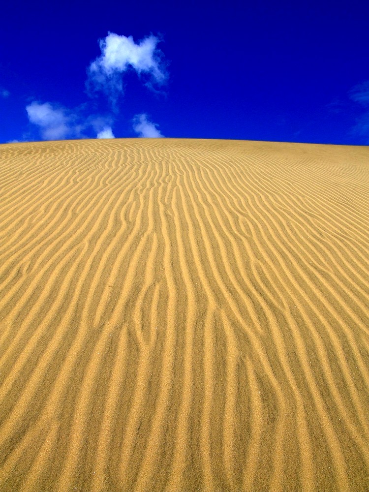 Dünen von Maspalomas, 2