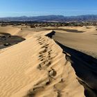 Dünen von Maspalomas