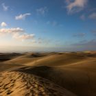 Dünen von Maspalomas 4