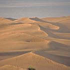 Dünen von Maspalomas