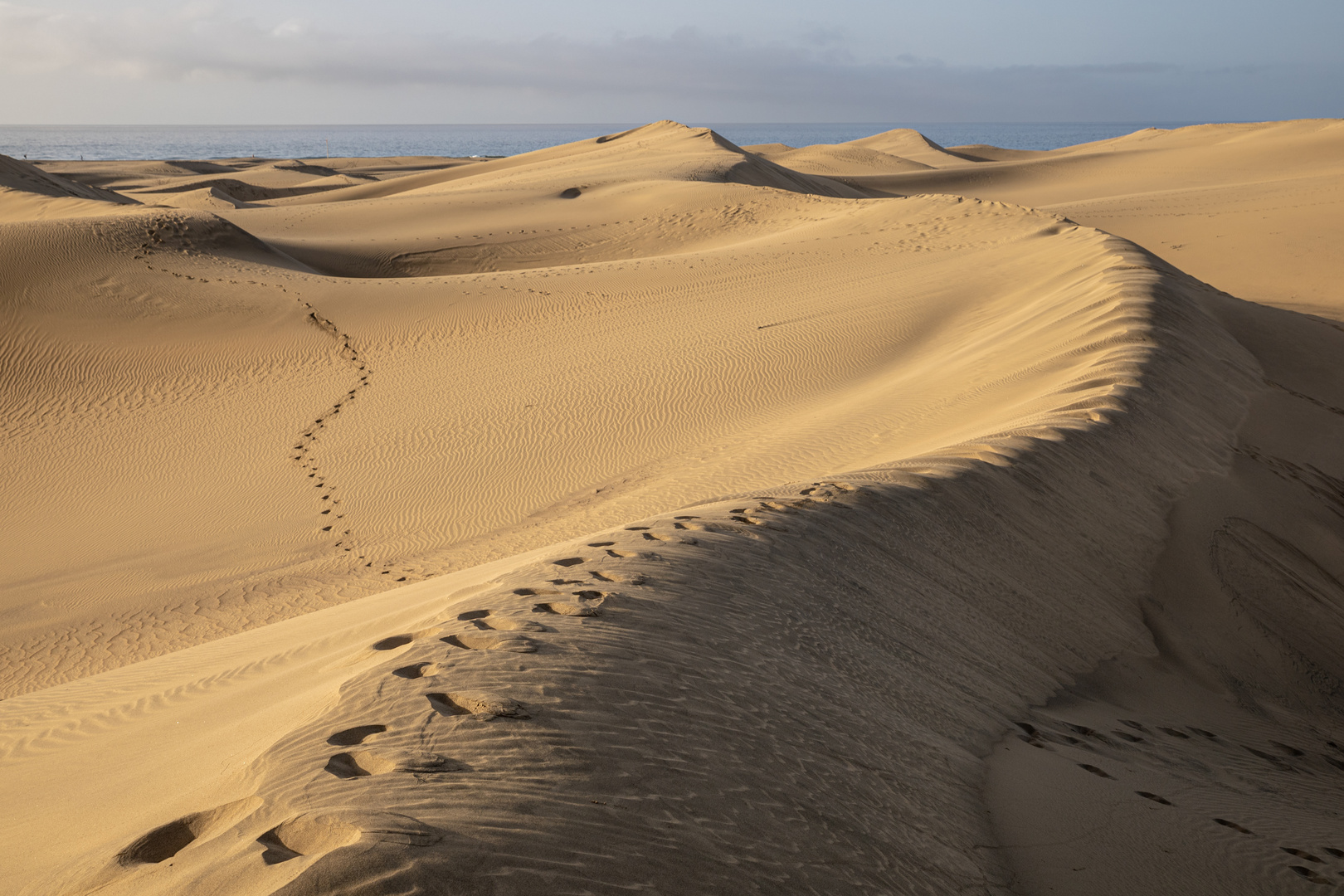 Dünen von Maspalomas