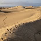 Dünen von Maspalomas