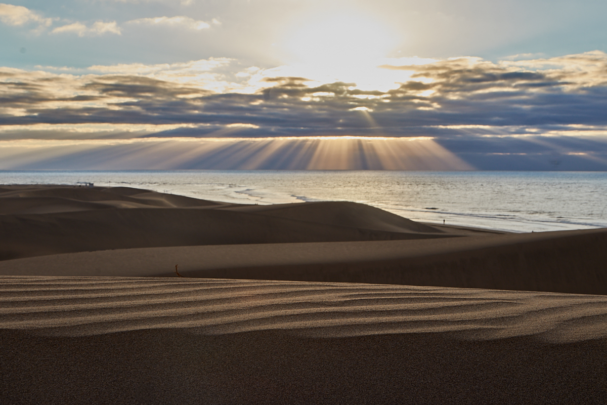 Dünen von Maspalomas