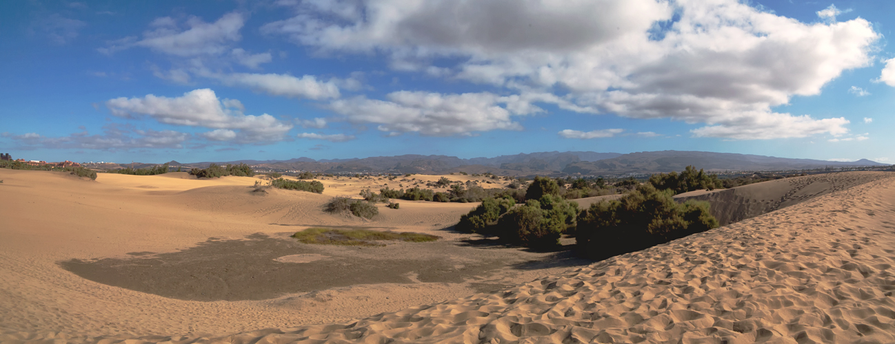 Dünen von Maspalomas