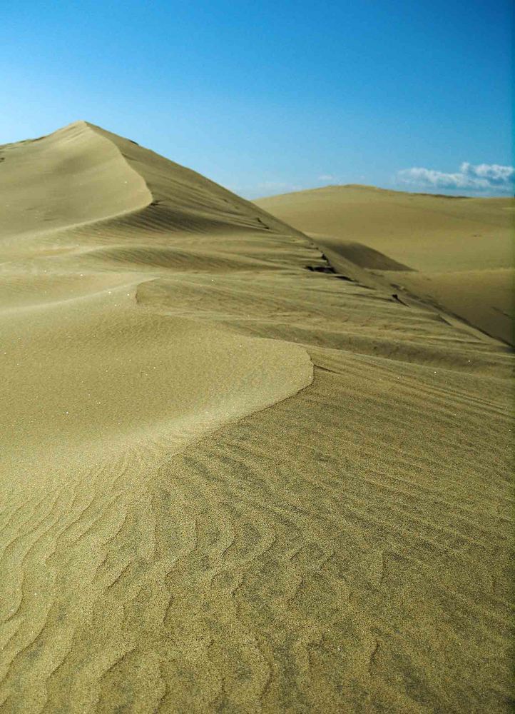 Dünen von Maspalomas