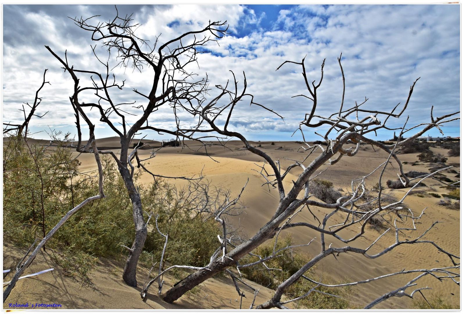 Dünen von Maspalomas