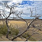 Dünen von Maspalomas