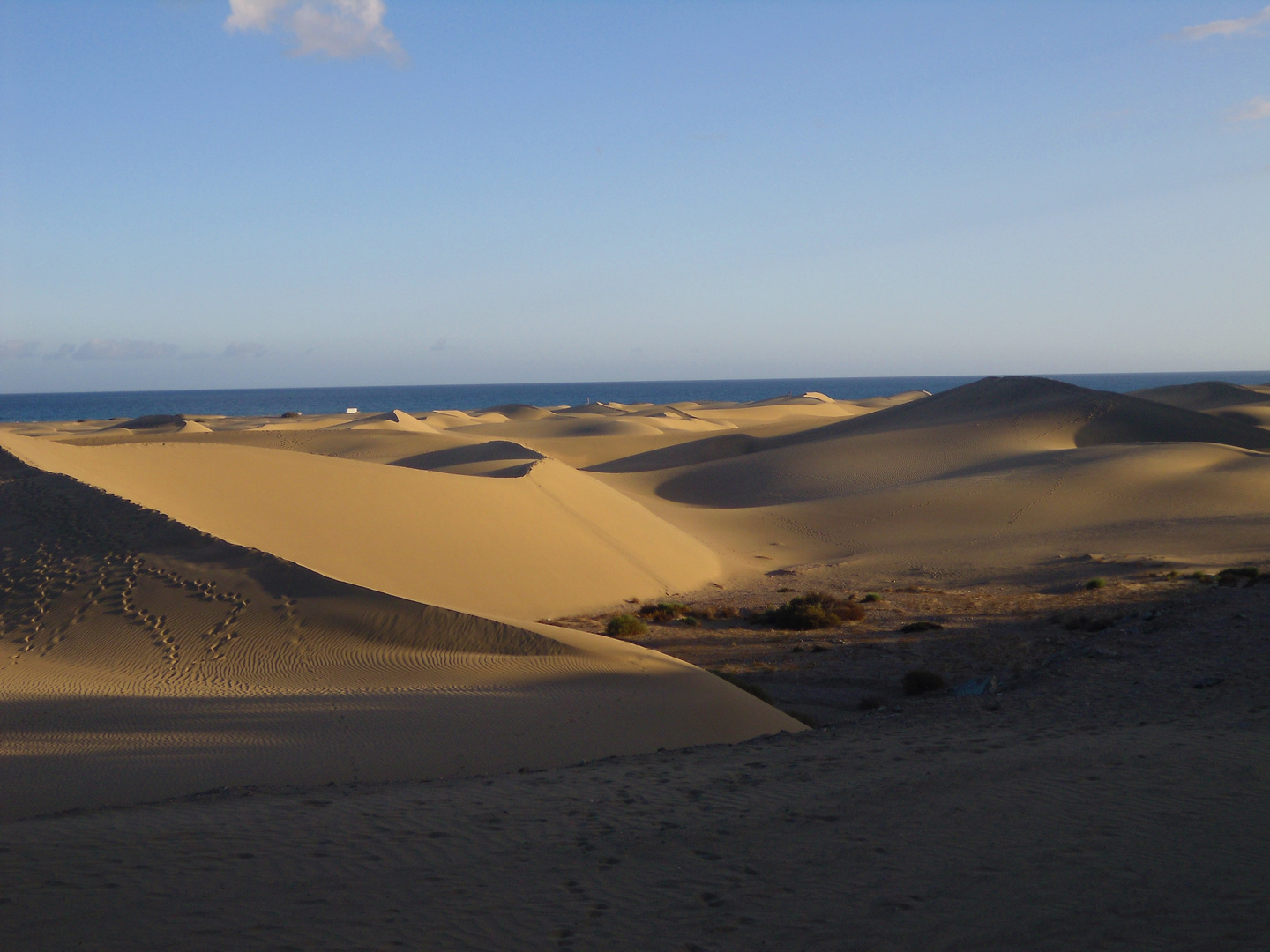 Dünen von Maspalomas