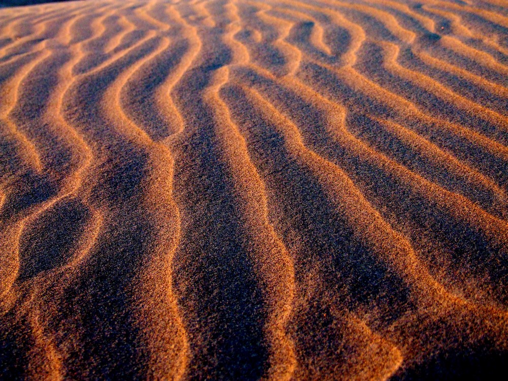 Dünen von Maspalomas