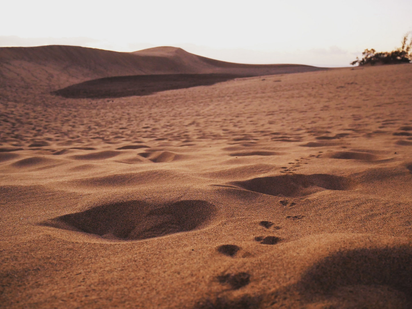 Dünen von Maspalomas