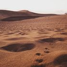 Dünen von Maspalomas