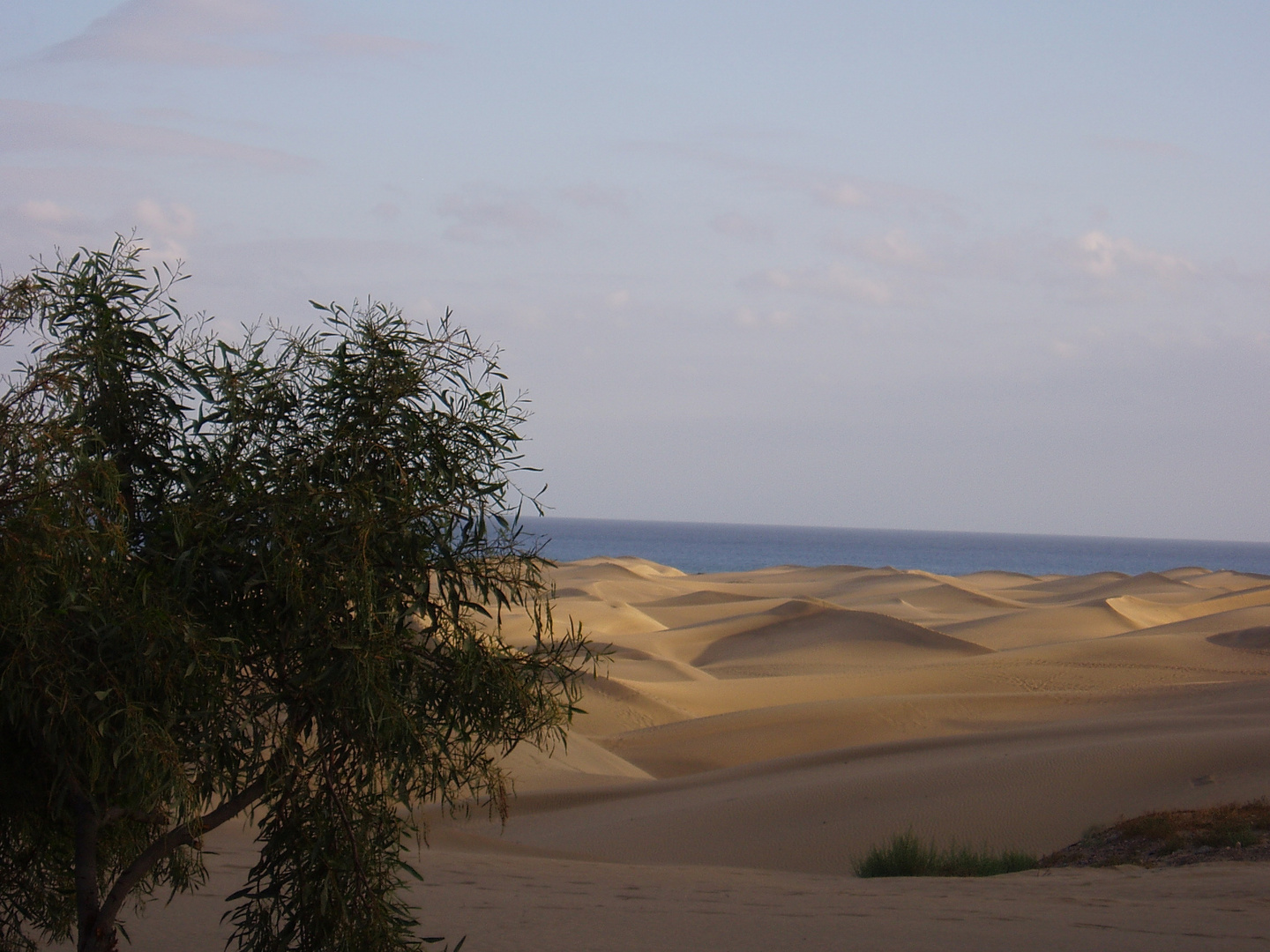 Dünen von Maspalomas