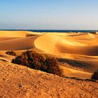 Dünen von Maspalomas