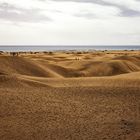 Dünen von Maspalomas