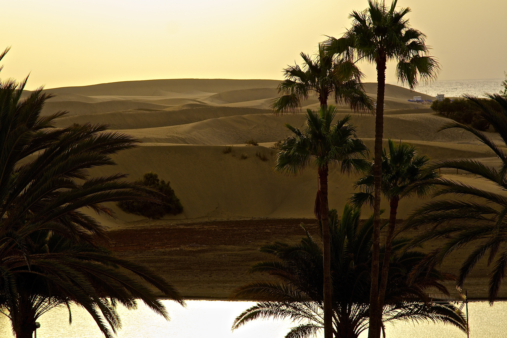 Dünen von Maspalomas