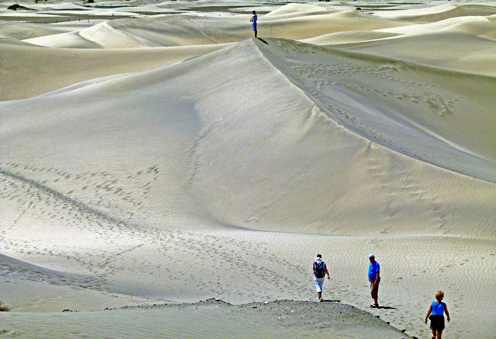 Dünen von Maspalomas