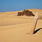 Dünen von Maspalomas