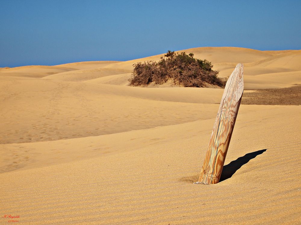 Dünen von Maspalomas