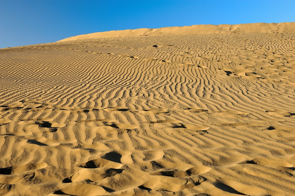 Dünen von Maspalomas