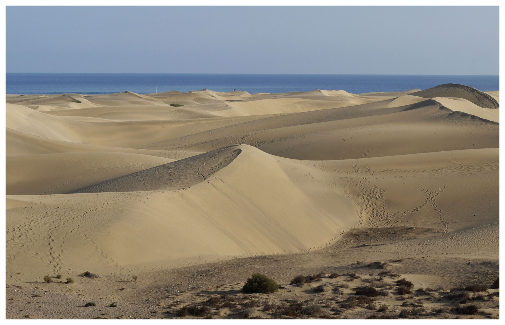 Dünen von Playa de Ingles